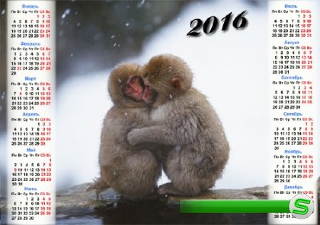  На 2016 год календарь - Две маленькие обезьянки греются зимой 