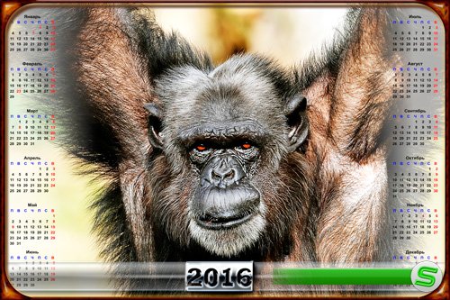 Календарь на 2016 год - Из породы обезьян