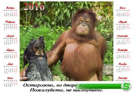  На 2016 год календарь - Орангутанг с собакой 