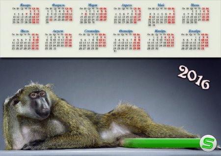  Календарная сетка - Модная обезьянка 