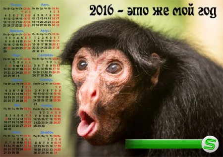  Календарь на 2016 год - Год обезьяны 