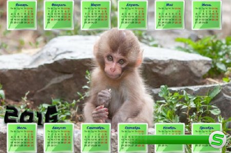  Маленькая обезьяна на камне - Календарь на 2016 год 