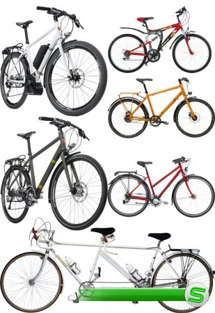 Велоспорт: велосипед, тандем (подборка изображений)