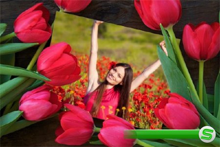  Рамка для фотомонтажа - Весенние цветы 
