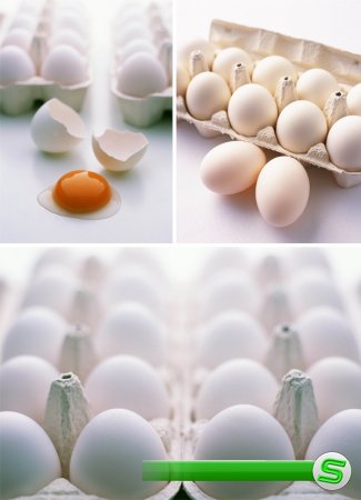 Яйца в лотках (подборка клипарта)