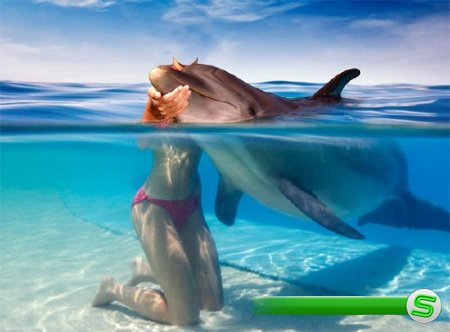  Шаблон для фотомонтажа - Поплавать с дельфином 