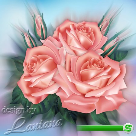 PSD исходник - Букет прекрасных роз