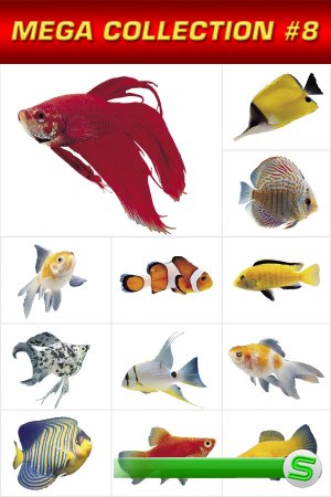 Мега коллекция №6: Аквриумные рыбки (прозрачный фон)