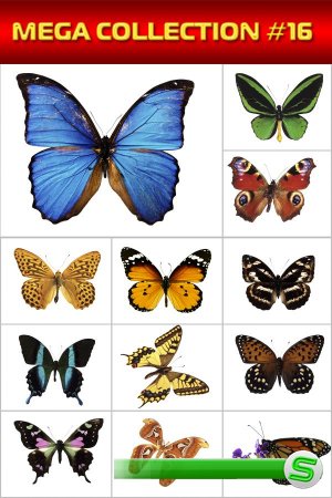 Мега коллекция №16: Бабочки и мотыльки