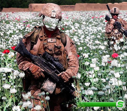 Шаблон фотошоп - Солдаты на маковом поле
