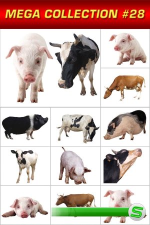Мега коллекция №28: Домашний скот (свиньи, коровы, телята)