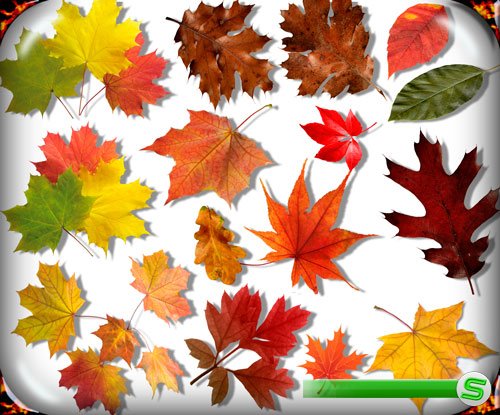Клипарты Png на прозрачном фоне - Осенние листья