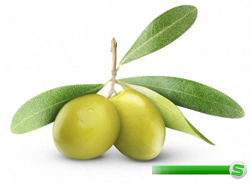 Png на прозрачном фоне - Черные и зеленые оливки и маслины