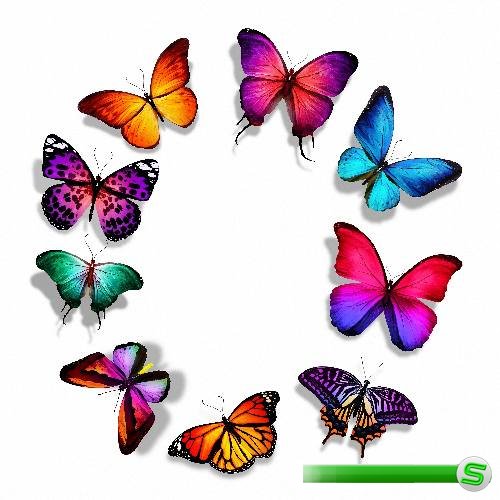 Качественные png на прозрачном фоне - Цветные бабочки