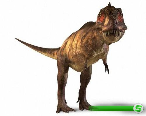 Качественные png на прозрачном фоне - Разные динозавры