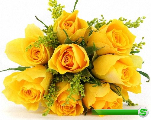 Клипарты Png - Желтые цветы