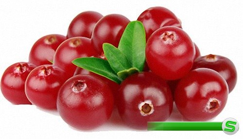Растровый клипарт - Вкусные ягоды