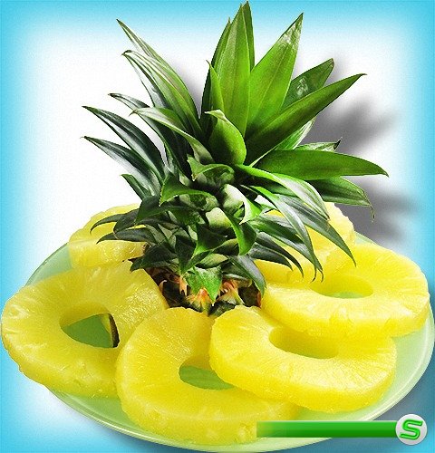 Png для фотошопа - Сочные ананасы