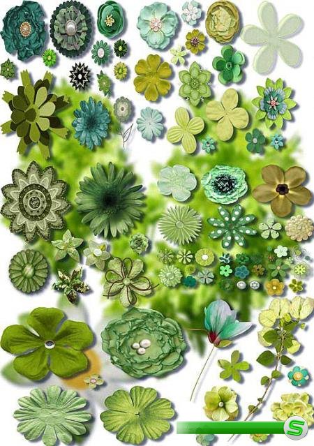 Клипарты для фотошопа - Зеленые цветы