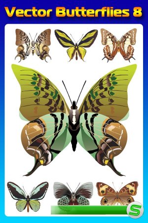 Бабочки (насекомые в векторе) часть восьмая