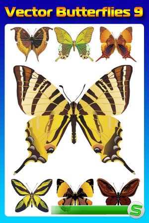 Бабочки (насекомые в векторе) часть девятая