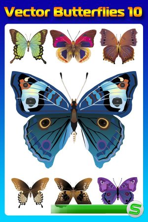 Бабочки (насекомые в векторе) часть десятая