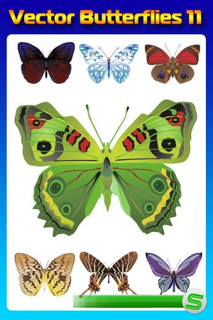 Бабочки (насекомые в векторе) часть одиннадцатая