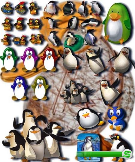 Png Клипарты - Веселые пингвины