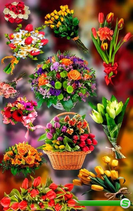 Png Клипарты - Букеты из цветов