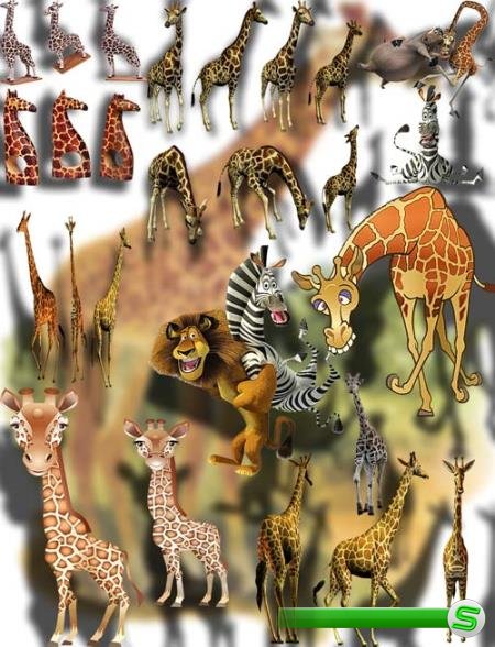 Фотошоп Png клип-арты - Веселые жирафы
