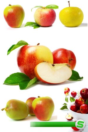 Фрукты: Яблоки (подборка фото)