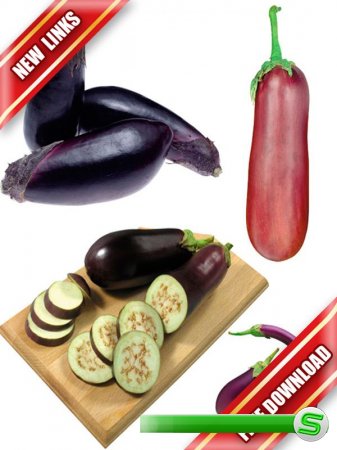 Фотосток: овощи - кабачки, баклажаны, кабаки, сининькие (рабочие ссылки, бесплатные файлообменники)