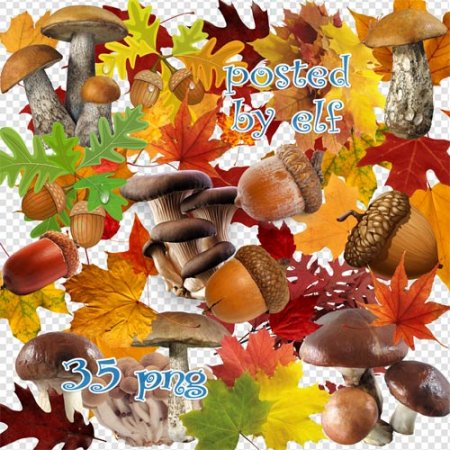  Осенние листья, грибы, желуди в png