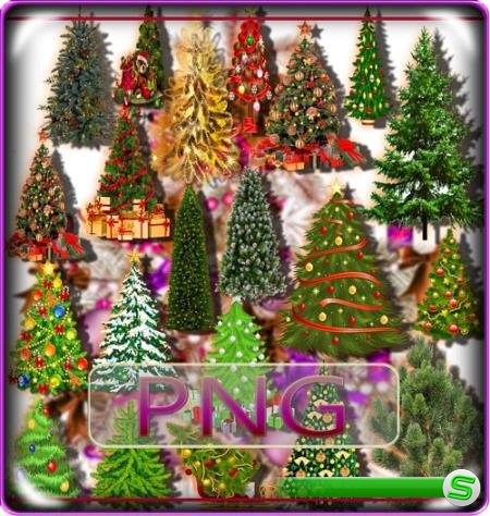 Клипарты png без фона - Новогодние елки
