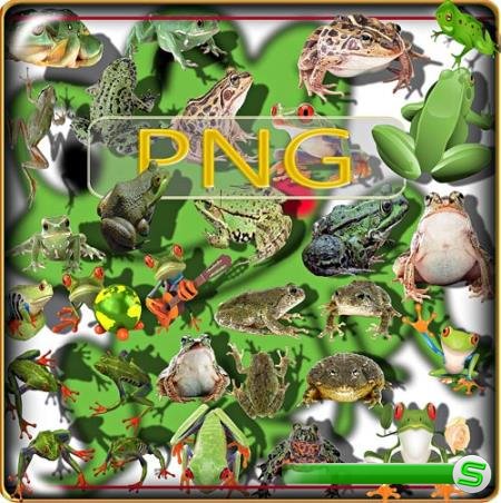 Клип-арты png - Лягушки и жабы